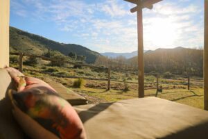 Modderfontein - Wolvekloof Peperboom Cottage