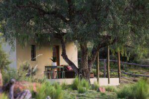 Modderfontein - Wolvekloof Peperboom Cottage